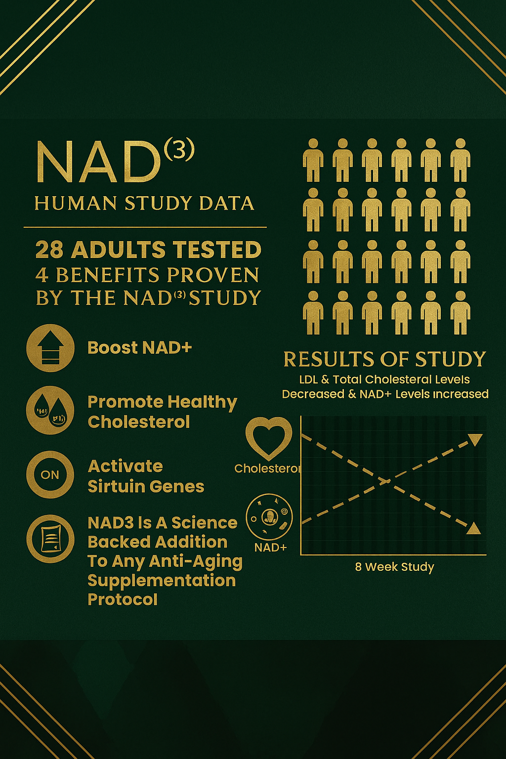 NAD+ Booster (NAD3)